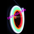 צבע קסם דקורטיבי DMX LED LED ניאון אור רצועת ניאון